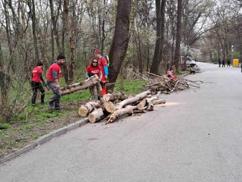 "Мисия Лаута“ - третата мащабна акция по почистване